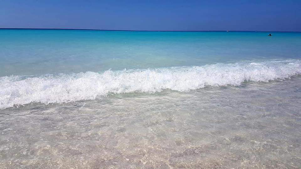 Agriturismo Il Poggio Казале Маритимо Екстериор снимка