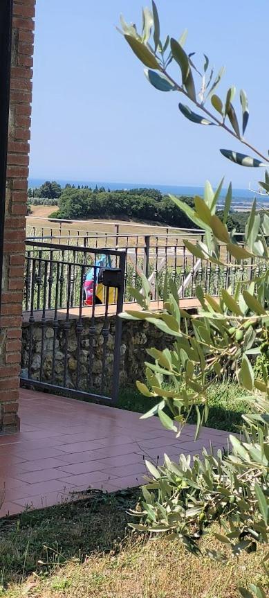 Agriturismo Il Poggio Казале Маритимо Екстериор снимка